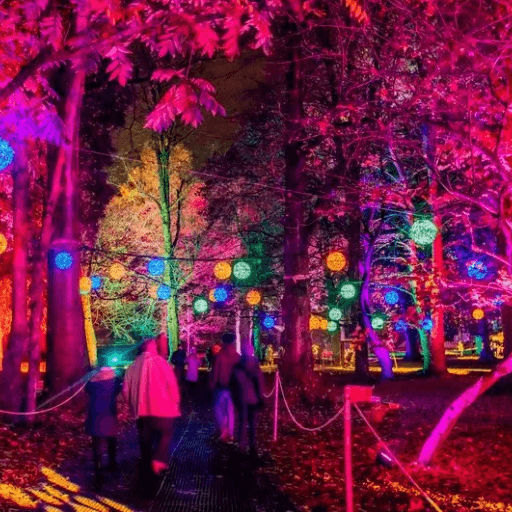 Winter Wonderland Light Trail Hire