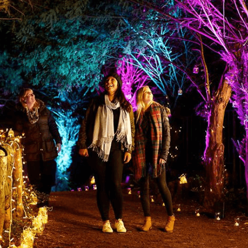 Winter Wonderland Lighting Hire